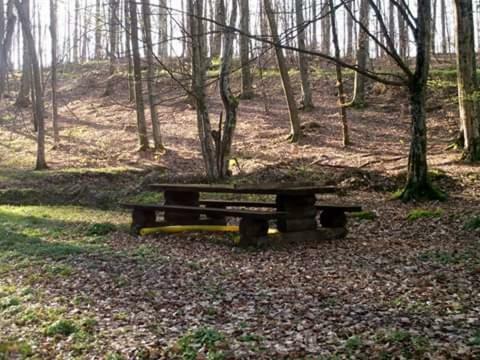 Villa Kuca Za Odmor"Miran San" Podgorić Esterno foto