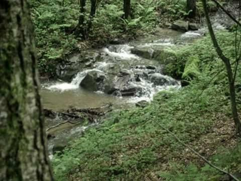 Villa Kuca Za Odmor"Miran San" Podgorić Esterno foto